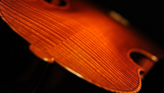 ���@�C�I���� Gambarin Alessandro Italy MAGICO