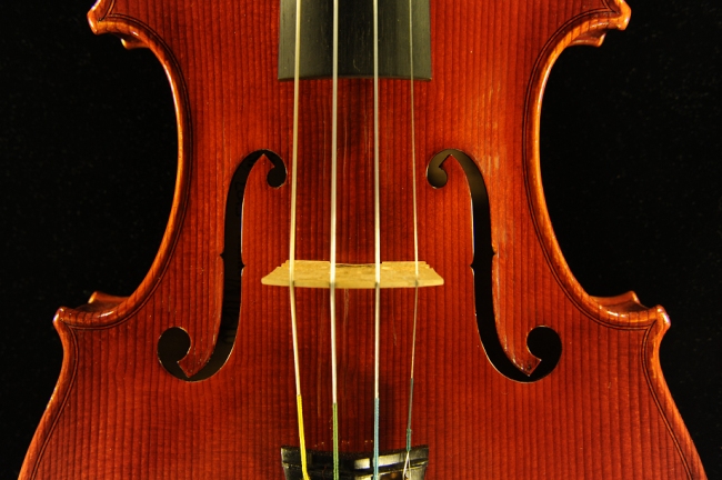 ���@�C�I���� Gambarin Alessandro Italy MAGICO