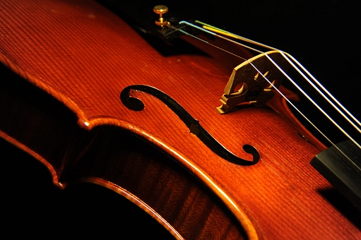 �o�C�I���� �C�^���A �K���o���� �}���g���@