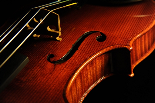 Violin Gambarin Mantova Italy MAGICO