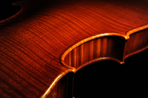 �o�C�I���� �C�^���A �K���o���� �}���g���@