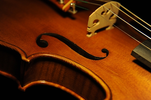 Violin ignesti Firenze Italy MAGICO