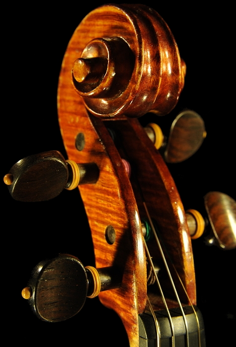 Violin regazzoni Italy MAGICO