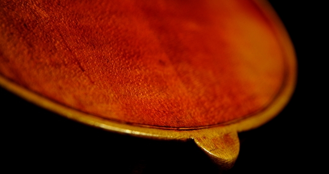 fine German Violin MAGICO �}�W�R