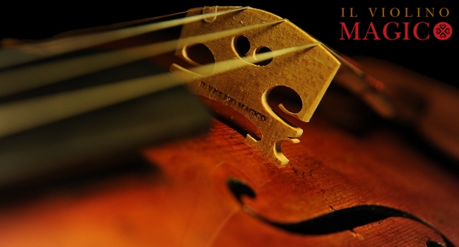 �n���h���C�h �h�C�c�� �R���T�[�g ���@�C�I����