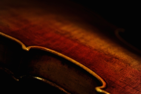 ���_�� �h�C�c�� ���@�C�I����