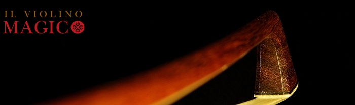 Cello Bow Paulus Germany