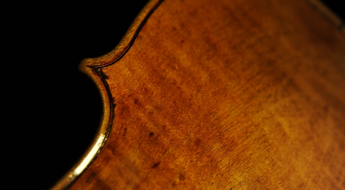 �r�_���t �X�g���f�B���@���E�X ���� �N�����i