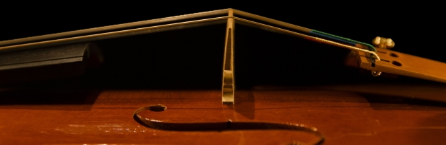 高橋修一 クレモナ バイオリン イタリア マジコ