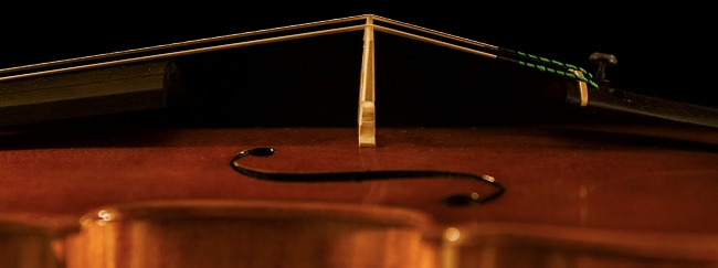 MAGICO Baratto Cremona Violin