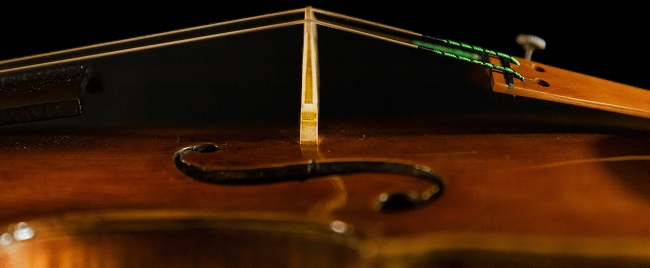 ���@�C�I���� �}�W�R �C�^���A��