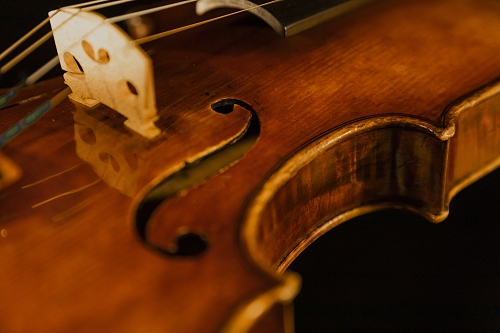 �o�C�I���� �C�^���A �X�J�����y��