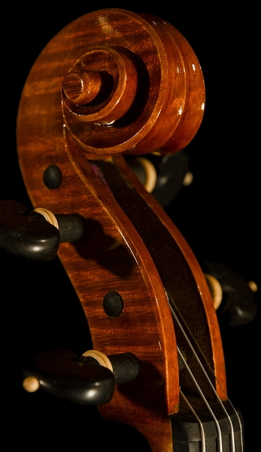 Petko Petkov Kazanlak Violin