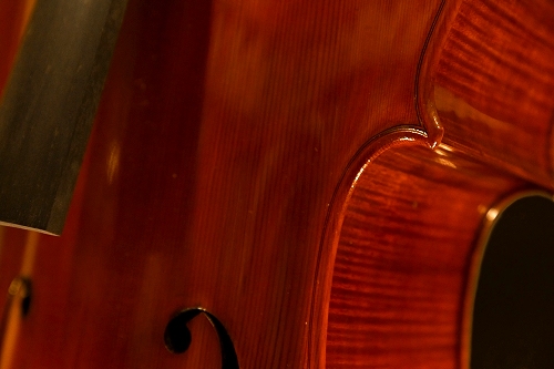 マジコ Mantova Cello