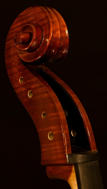 Gianluca Zanetti Mantova Cello