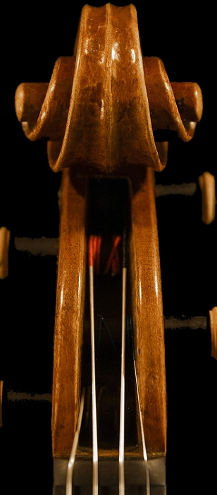 �o�C�I���� �T�b�R �}�W�R �N�����i �C�^���A