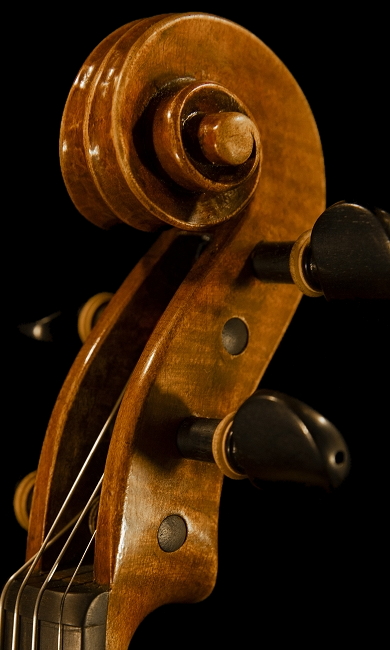 �T�b�R �N�����i �C�^���A