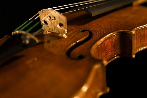 �T�b�R �N�����i �C�^���A