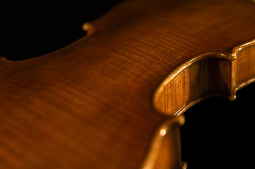 �T�b�R �N�����i �C�^���A