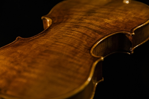 natale Carletti Label Violin MAGICO マジコ