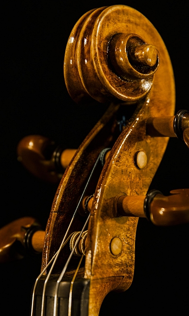 natale Carletti Label Violin MAGICO マジコ