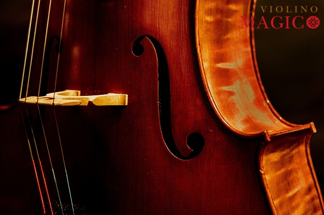 Armando Giulietti Cello MAGICO マジコ