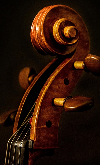Armando Giulietti Cello MAGICO マジコ