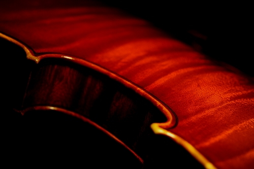 �t�@�j���[�� �o�C�I���� �C�^���A �}�W�R