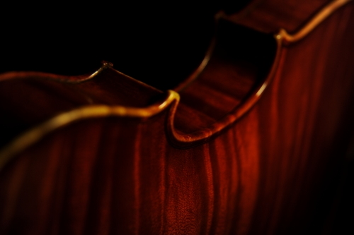 �t�@�j���[�� �o�C�I���� �C�^���A