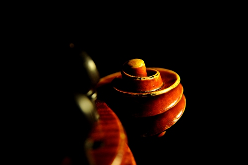 �t�@�j���[�� �o�C�I���� �C�^���A �X�N���[��