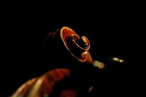 Fagnola Violin ITALY Scroll