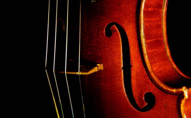 �t�@�j���[�� �o�C�I���� �C�^���A