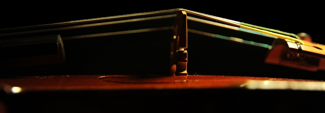 �t�@�j���[�� �o�C�I���� �C�^���A