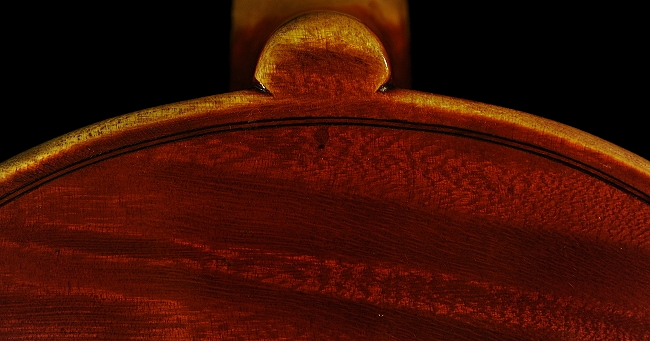 �t�@�j���[�� �o�C�I���� �C�^���A �{�^��