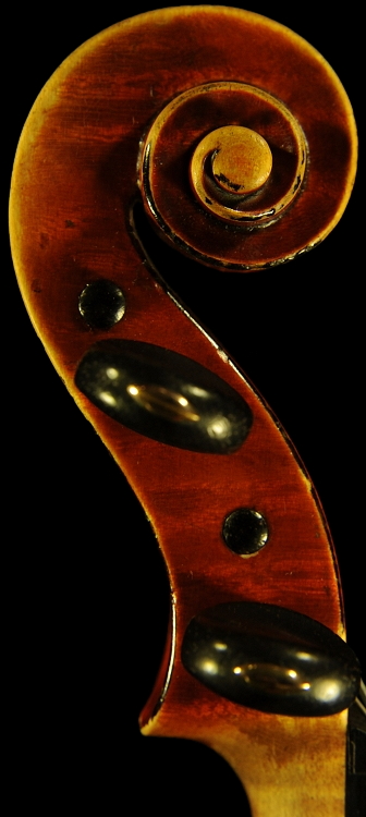 �t�@�j���[�� �o�C�I���� �C�^���A �}�W�R