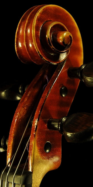 �t�@�j���[�� �o�C�I���� �C�^���A �}�W�R