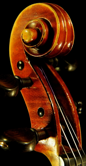 Fagnola Violin ���_���C�^���[ MAGICO