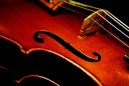 Fagnola Violin ���_���C�^���[ MAGICO