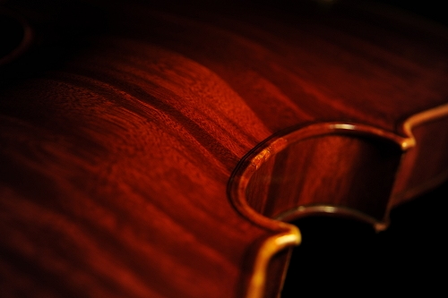 Fagnola Violin ���_���C�^���[ MAGICO