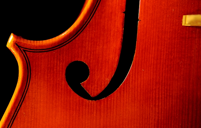 MAGICO liutaio Cremona Viola