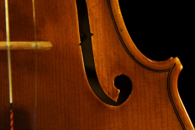 ヴァイオリン コニア イタリア