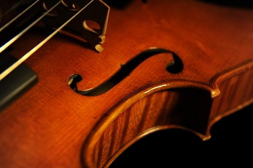 Sacco Cremona Violin }WR
