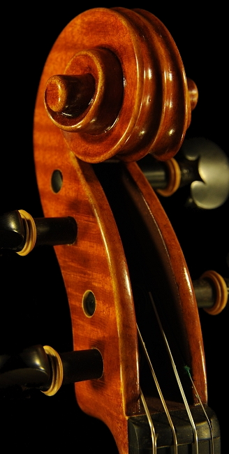 Schudtz Violin Ni MAGICO