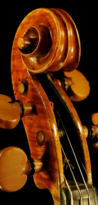 Antoniazzi Violin MAGICO