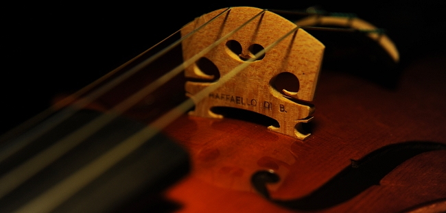 Violin Magico Di Biagio Raffaello
