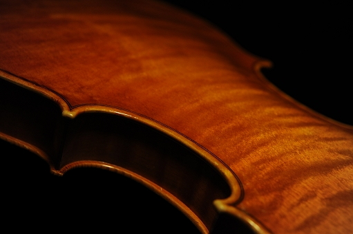 Rocchi Cremona Violin