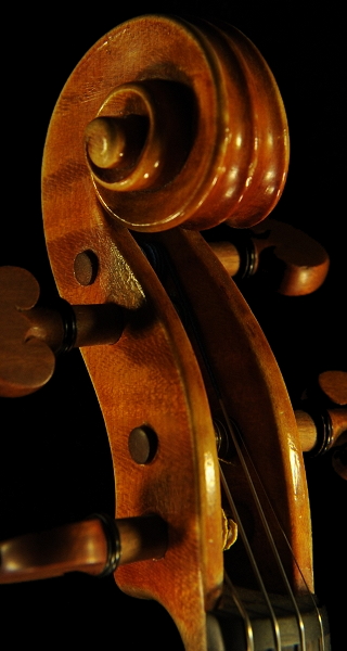 Rocchi Cremona Violin