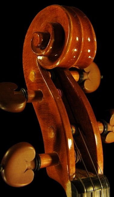 バイオリン 槌谷 イタリア マジコ
