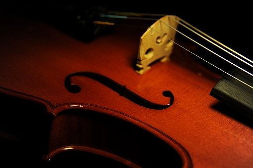 Violin Di Labio Bologna Italy MAGICO