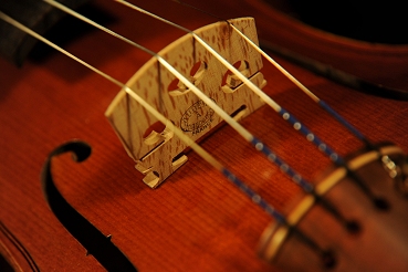 サントスピリト バイオリン  表板　駒